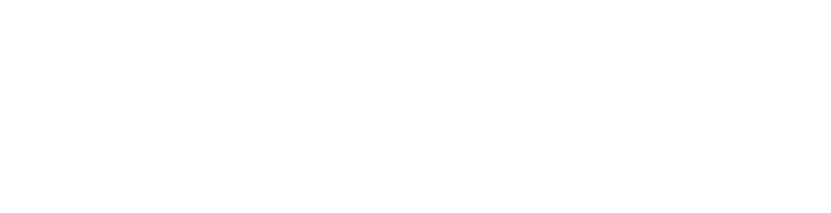 BuscaVan